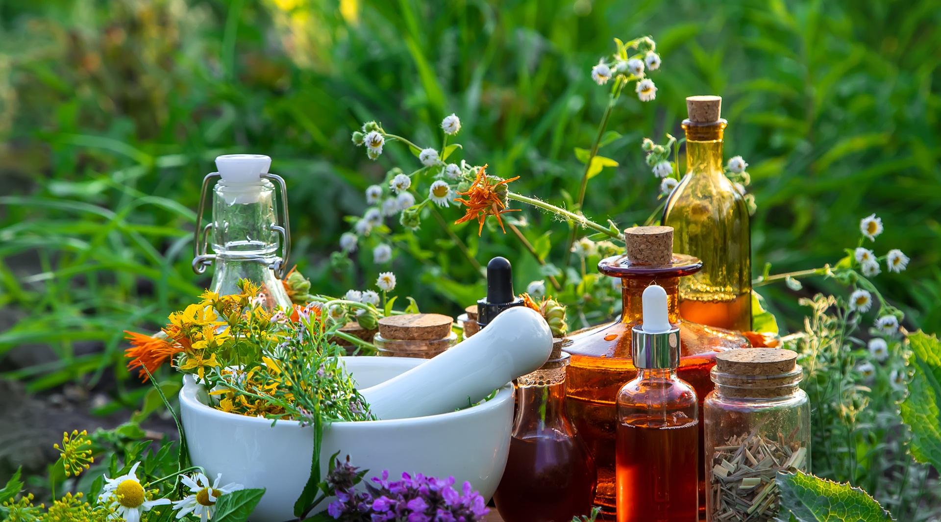 Kräuter und Tinkturen im Garten | TCM Düsseldorf